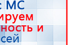 СКЭНАР-1-НТ (исполнение 02.2) Скэнар Оптима купить в Кунгуре, Аппараты Скэнар купить в Кунгуре, Дэнас официальный сайт denasolm.ru